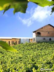 Casa Valduga Winery