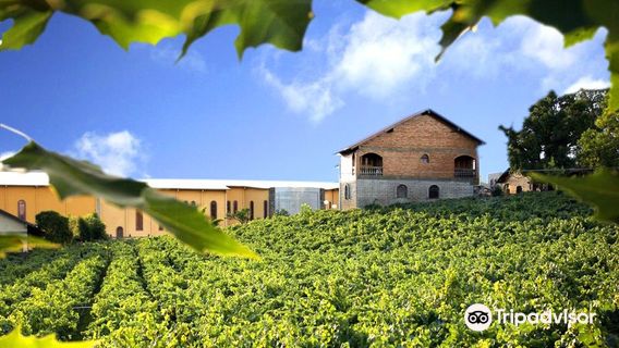 Casa Valduga Winery