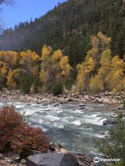 Animas River