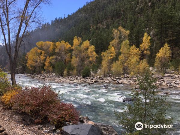 Animas River