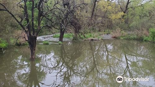 Brushy Creek Regional Trail