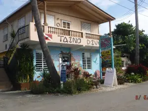 Taino Divers