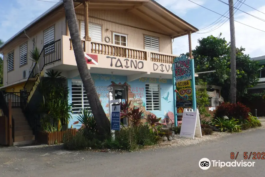 Taino Divers