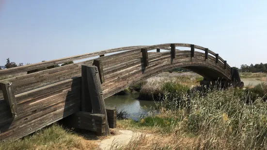 Radke Martinez Regional Shoreline Park