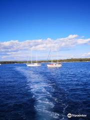 Glass Boat Igor