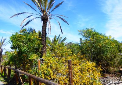 Parque Alfonso XIII