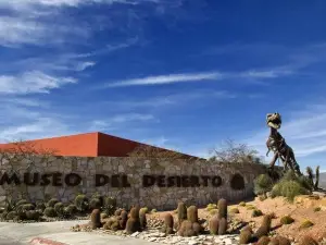 Museo del Desierto