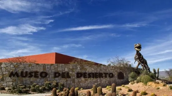 Museo del Desierto