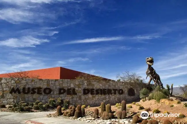 Museo del Desierto