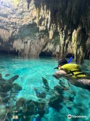 Cenotes Sac Actún