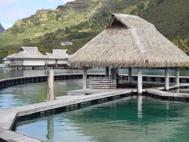 Moorea Dolphin Center