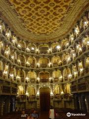 Teatro Scientifico del Bibiena