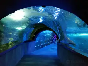 サンセバスチャン水族館