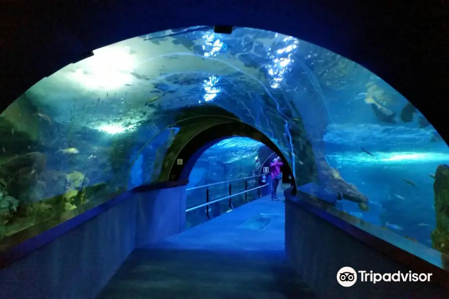 聖塞瓦斯蒂安水族館