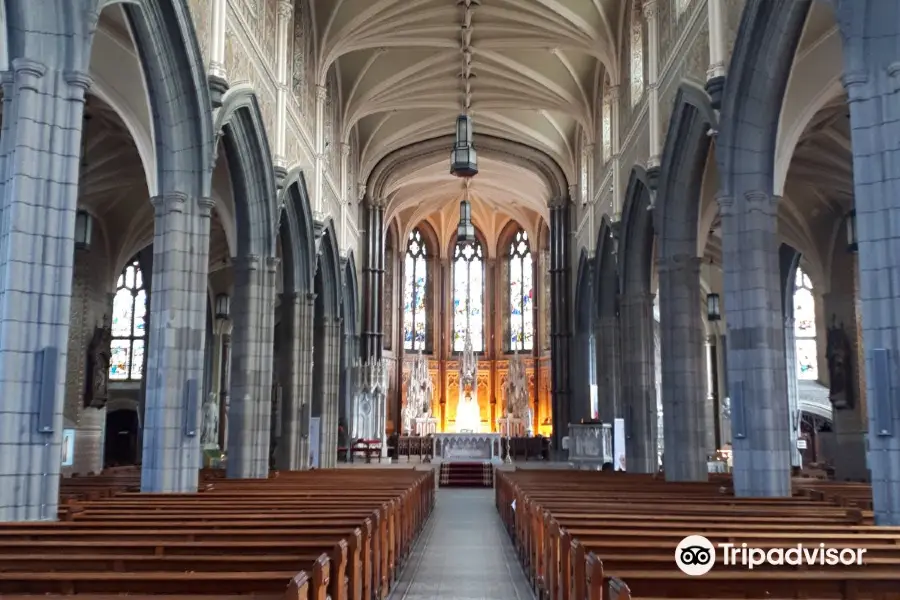 Cathédrale Saint-Patrick-et-Saint-Colman de Newry