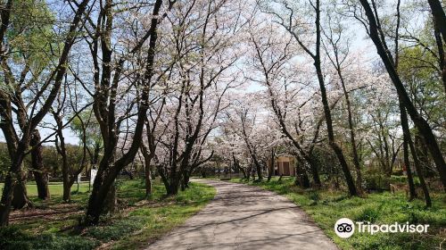 秋瀨公園