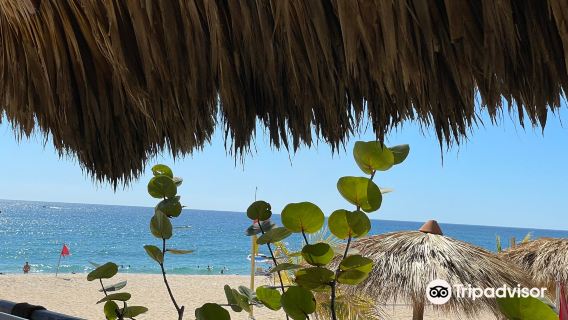 Playa Bacocho