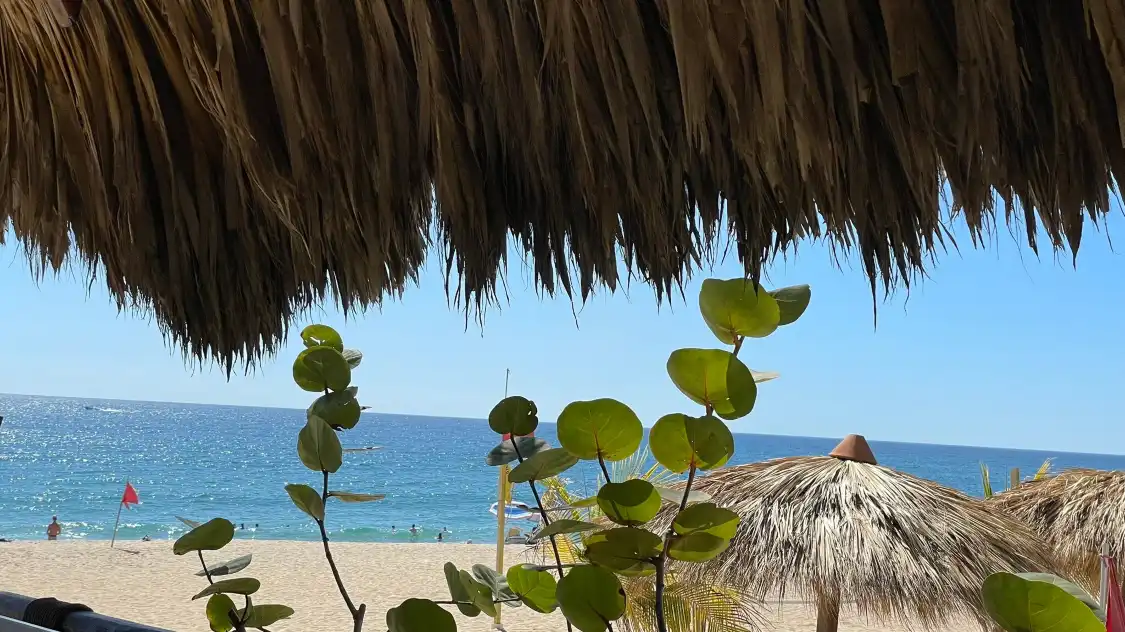 Hotels near Playa Bacocho