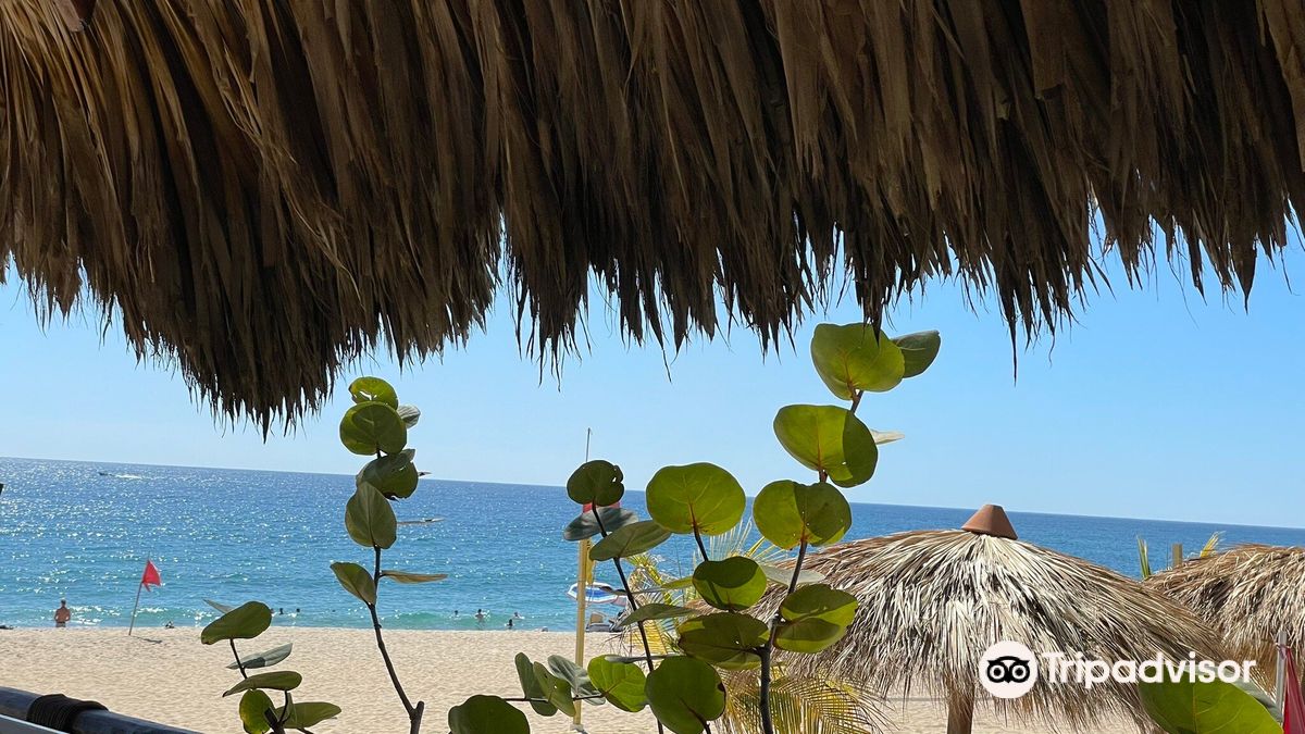 Playa Bacocho