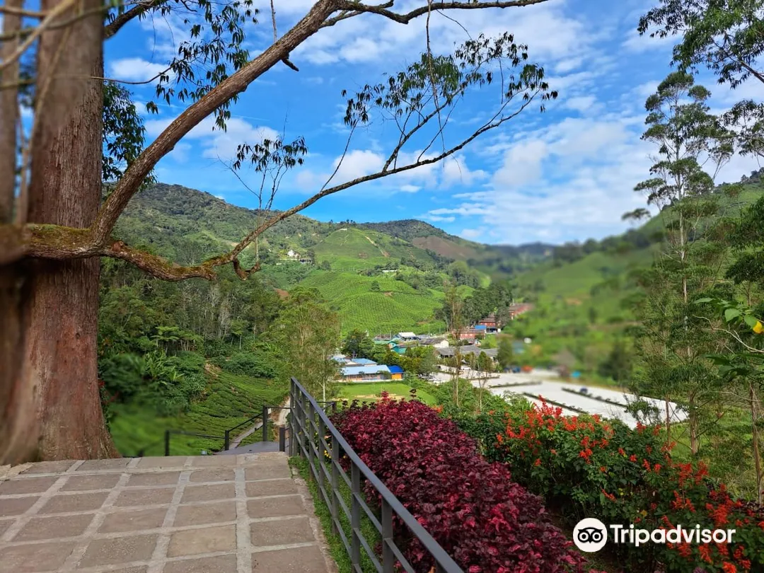 4_BOH Tea Centre (Sungei Palas Garden)