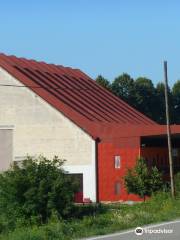 Cantina Sociale di Antignano e San Martino Alfieri