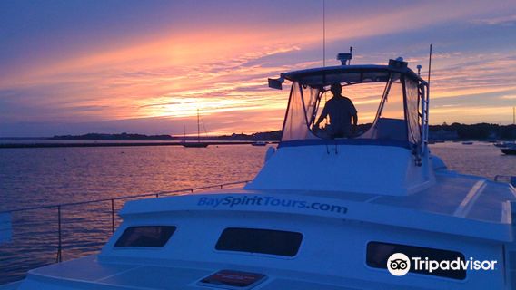 Bay Spirit Tours