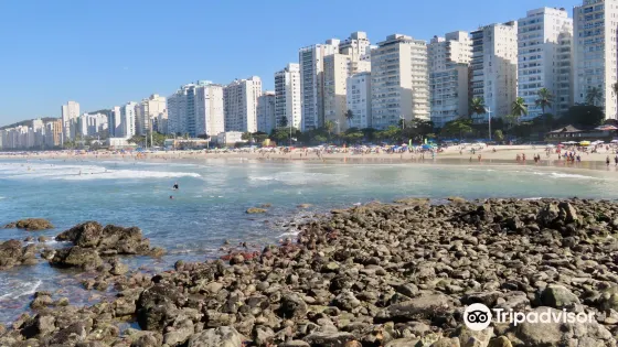 Pitangueiras Beach