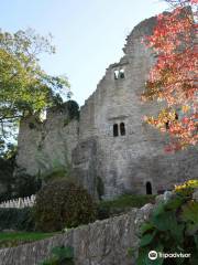 Castle Book Store