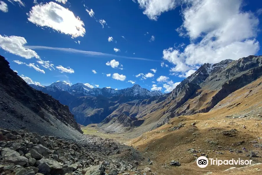 Trekking Alps