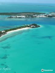 Bahamas Ocean Safaris