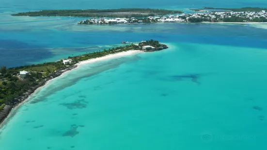 Bahamas Ocean Safaris