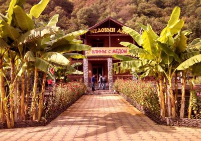 Gagra
