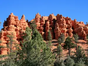 Dixie National Forest