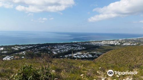 Mount Coolum