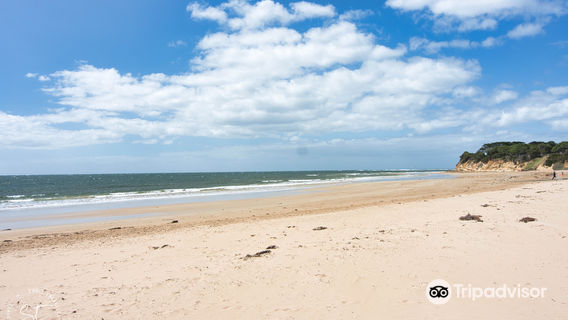 Torquay