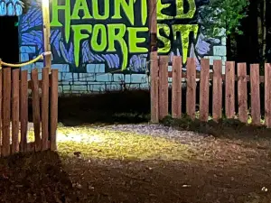 Haunted Forest at Panic Point