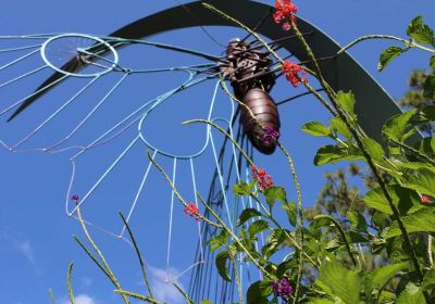 Botanischer Garten Mobile