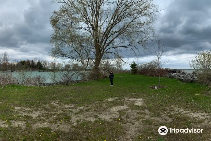 Bluffer's Park Marina