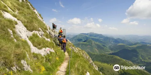 Grotto of Monte Cucco