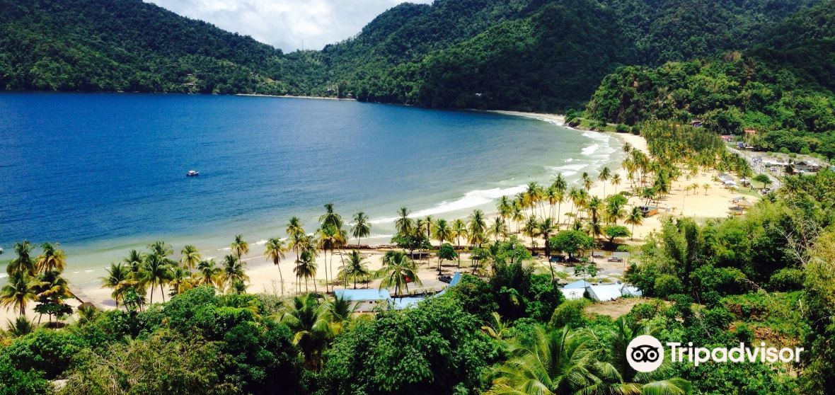 Maracas Bay Village Travel Guide 2024 Things to Do, What To Eat