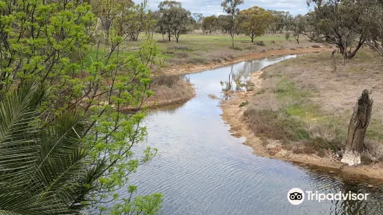 Richardson River