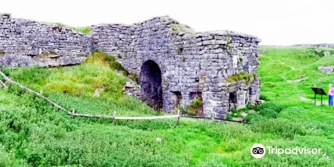 Toft Gate Lime Kilns