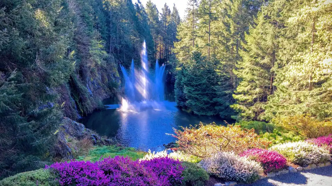 Hotels near Maffeo Sutton Park