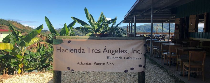 Adjuntas