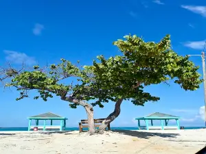 Colliers Public Beach