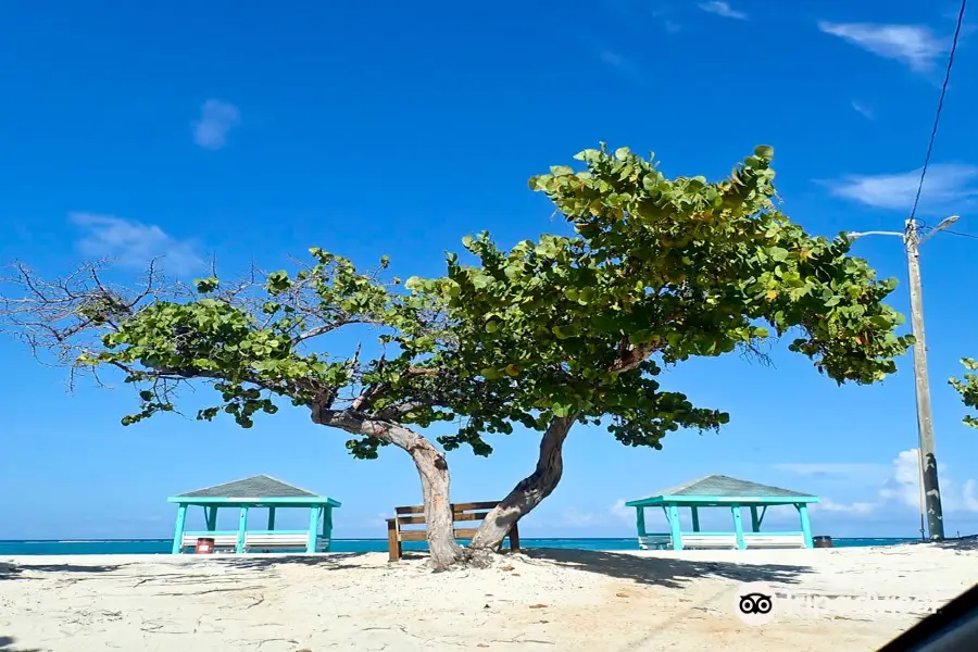 Colliers Public Beach