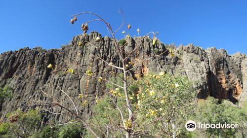 Windjana Gorge National Park