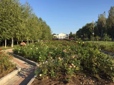 Pushkin Boulevard