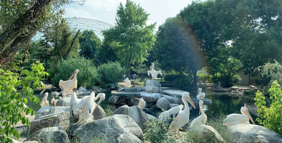 2_布爾薩動物園
