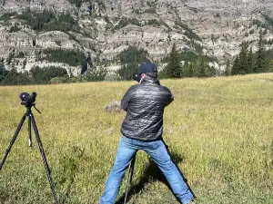 Yellowstone Wild The Gallery